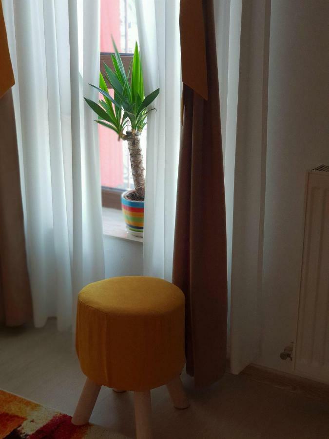 Unique Apartment Iasi